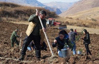 Ucom Employees Participate in Forest Restoration Efforts in Vayots Dzor